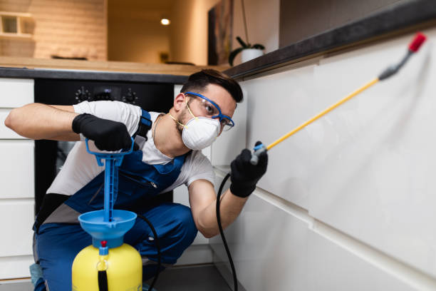 Best Residential Pest Control  in Sugarmill Woods, FL
