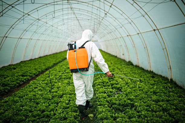 Best Emergency Pest Control  in Sugarmill Woods, FL