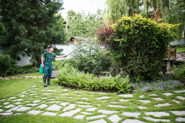 Pest Prevention Services in Sugarmill Woods, FL
