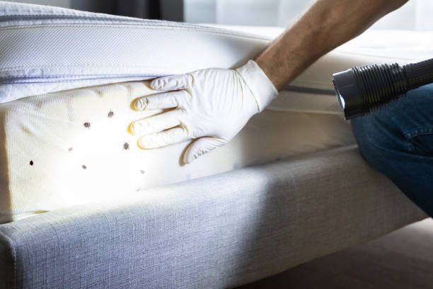 Best Pest Inspection Near Me  in Sugarmill Woods, FL